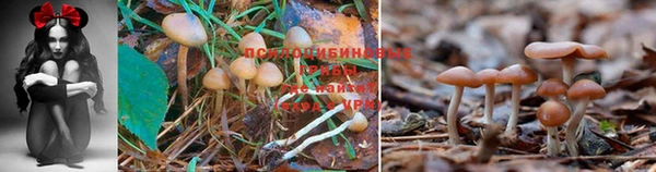 тгк Нязепетровск